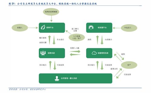 上海SEO優(yōu)化價格及人力資源服務價格表